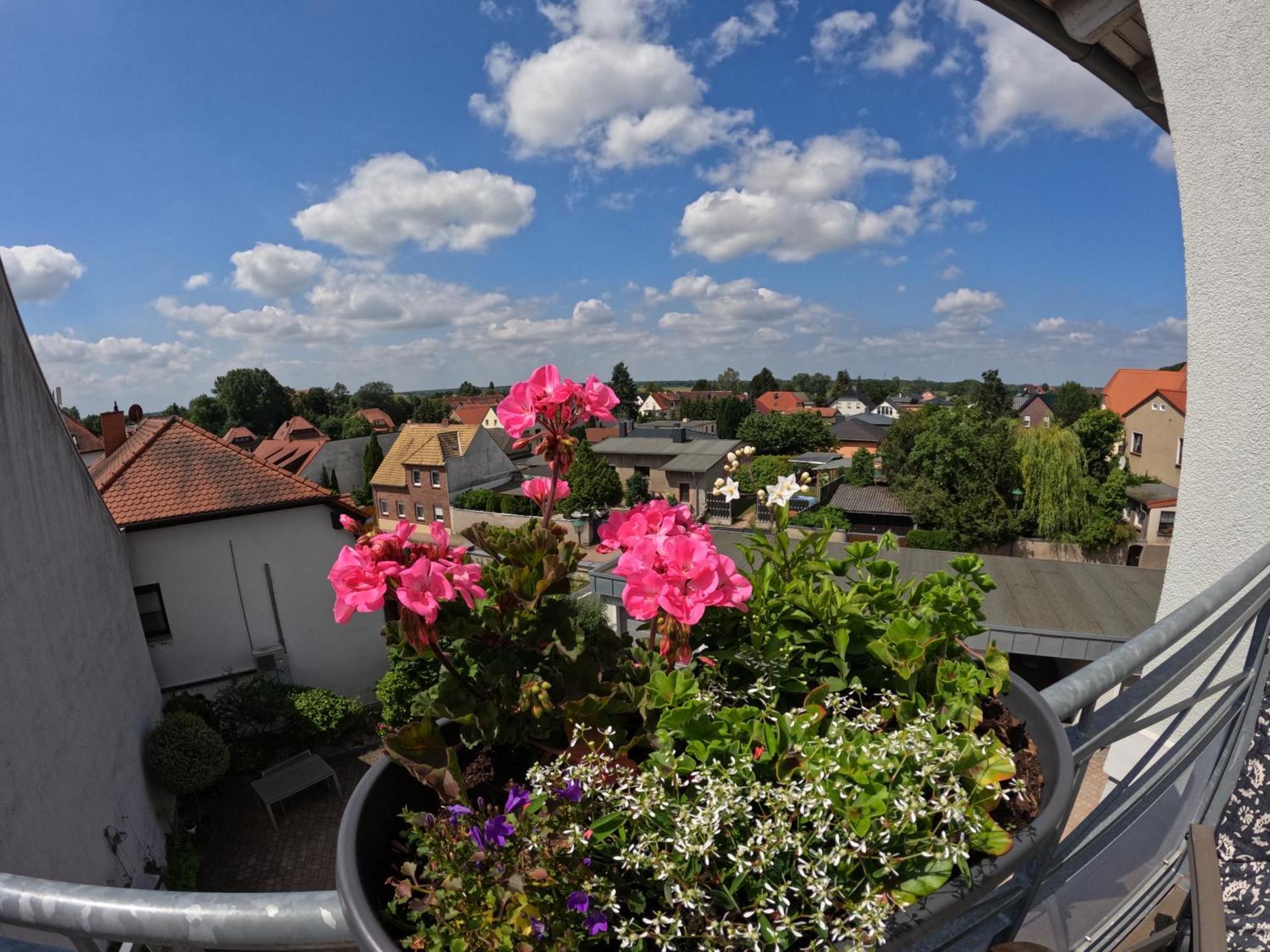 Ferienwohnung Ausblick Bad Düben Екстериор снимка